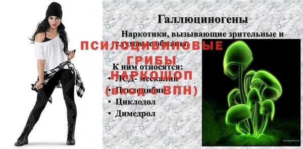 спайс Абаза