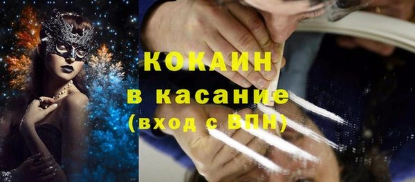 бошки Алексин