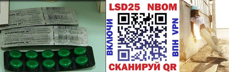 mega зеркало  Каменногорск  LSD-25 экстази кислота 