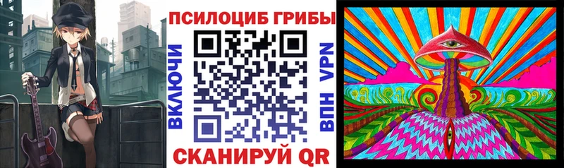Псилоцибиновые грибы Cubensis Каменногорск